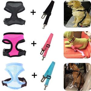 Dog Safety Belt