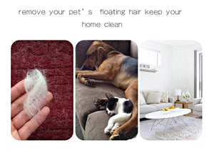 Reusable Pet Hair Removal Brush