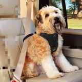 Nylon Dog Harness For Large Dogs