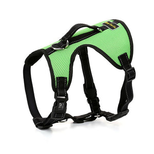 Nylon Dog Harness For Large Dogs