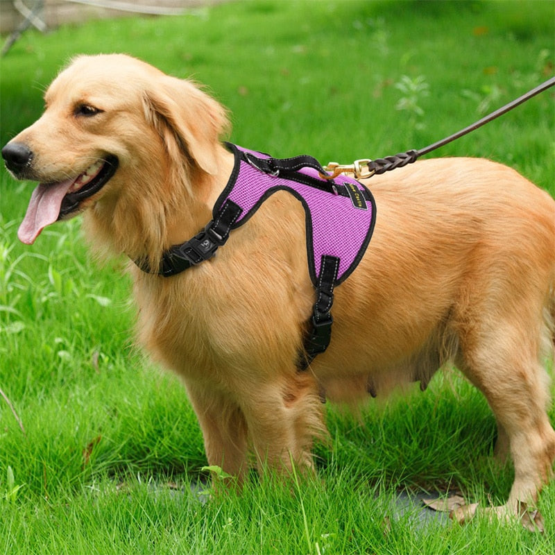 Nylon Dog Harness For Large Dogs