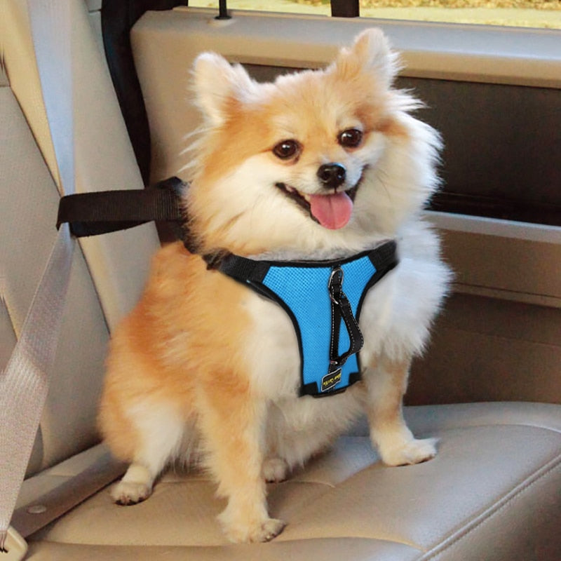 Nylon Dog Harness For Large Dogs