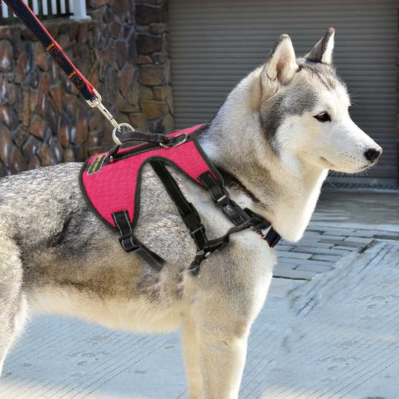 Nylon Dog Harness For Large Dogs