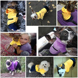 Fleece Winter Dog Costume