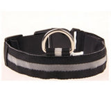 Nylon Pet Dog Collar LED